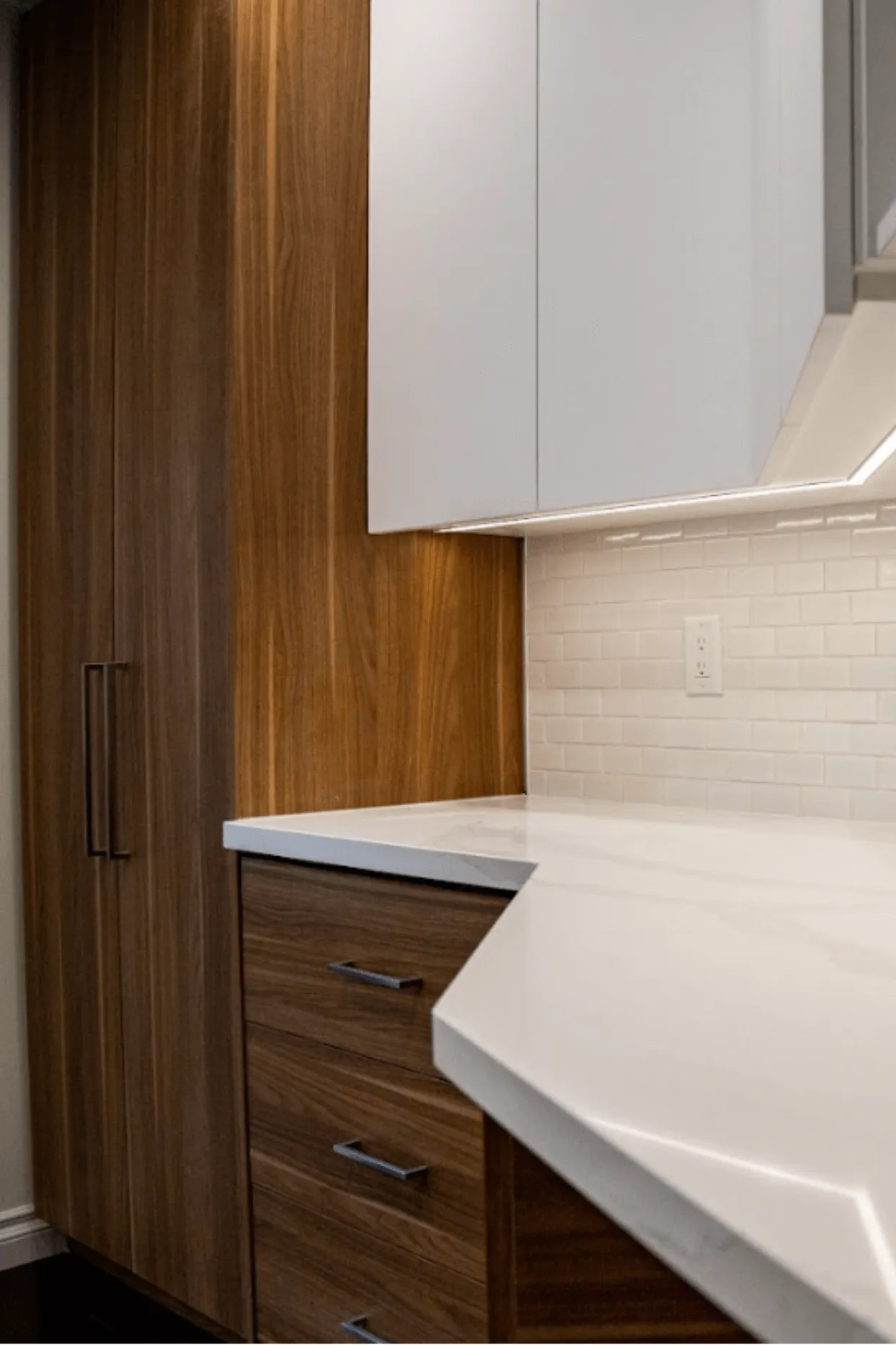 professional kitchen remodel